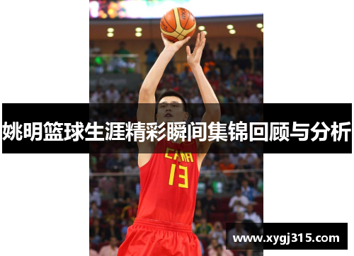 姚明篮球生涯精彩瞬间集锦回顾与分析